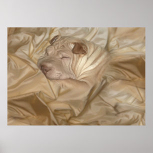Kinesiska Shar Pei som in kamoufleras, rynkar Poster