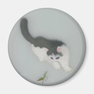 Kinesiska Silke Cat Bild Magnet