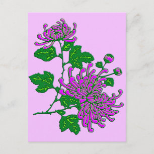 Kinesiska spindelkrysantemum - lavender vykort