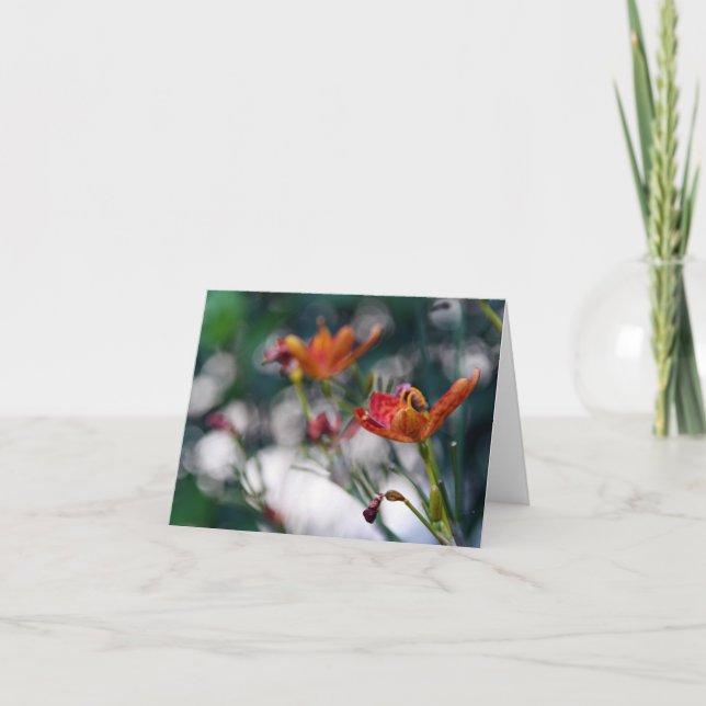 Kinesiska tigerliljablommor tillfogar din tomma kort (Framsida)