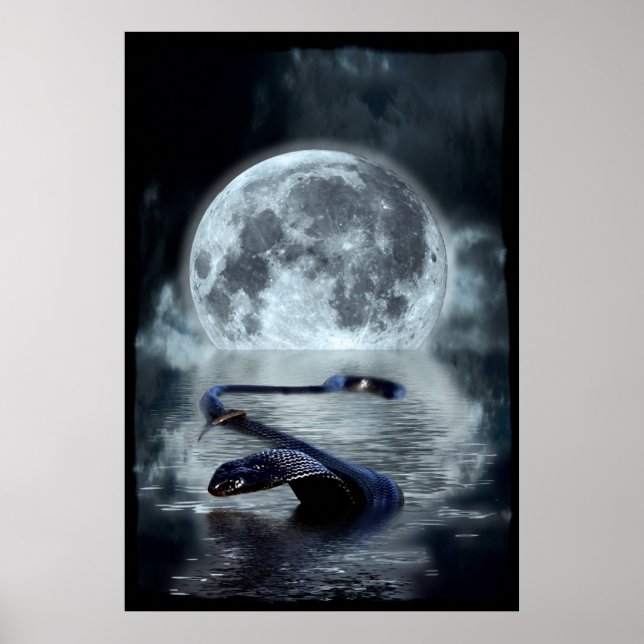 Kinesiskt år för ormen kring orm Vatten Poster (Framsidan)