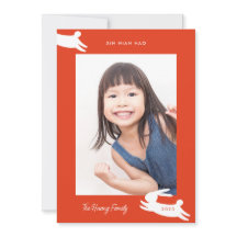 Kinesiskt nyår 2023, kaninfoto