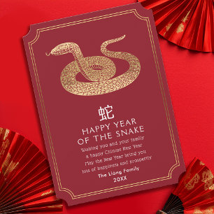 Kinesiskt nyårskort för snake-Helgdag Julkort