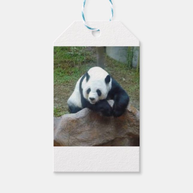 Kinesiskt panda Bear Presentetikett (Framsidan)