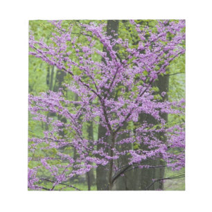 Kinesläktet i full blomning nära Defiance Anteckningsblock