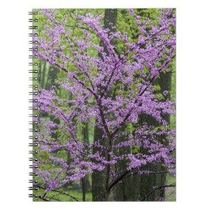 Kinesläktet i full blomning nära Defiance Anteckningsbok Med Spiral