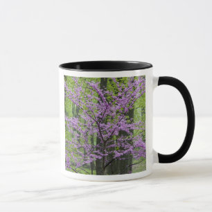 Kineslönn i full vårblomning nära Defiance Mugg