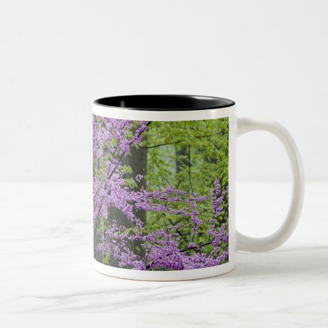 Kineslönn i full vårblomning nära Defiance Två-Tonad Mugg (Höger)