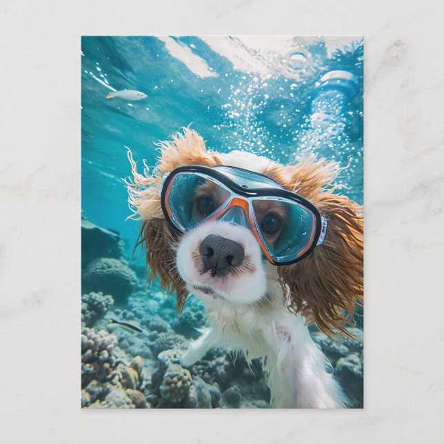 King Charles Cocker Spaniel driving in ocean Helg Vykort (Framsida)