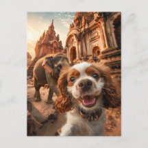 King Charles Cocker Spaniel i Ankor-templet