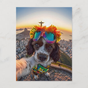 King Charles Cocker Spaniel i Brasilien Helg Vykort