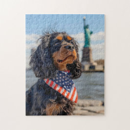 King Charles Cocker Spaniel i New York Pussel