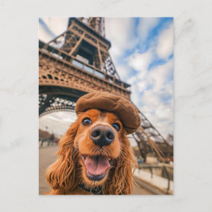 King Charles Cocker Spaniel i Paris Helg Vykort