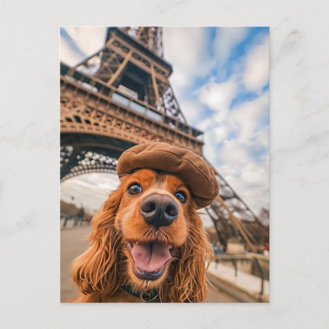 King Charles Cocker Spaniel i Paris Helg Vykort (Framsida)