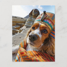 King Charles Cocker Spaniel in Egypt Helg Vykort