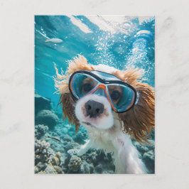 King Charles Cocker Spaniel kör i havet Helg Vykort