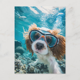 King Charles Cocker Spaniel kör i havet Helg Vykort