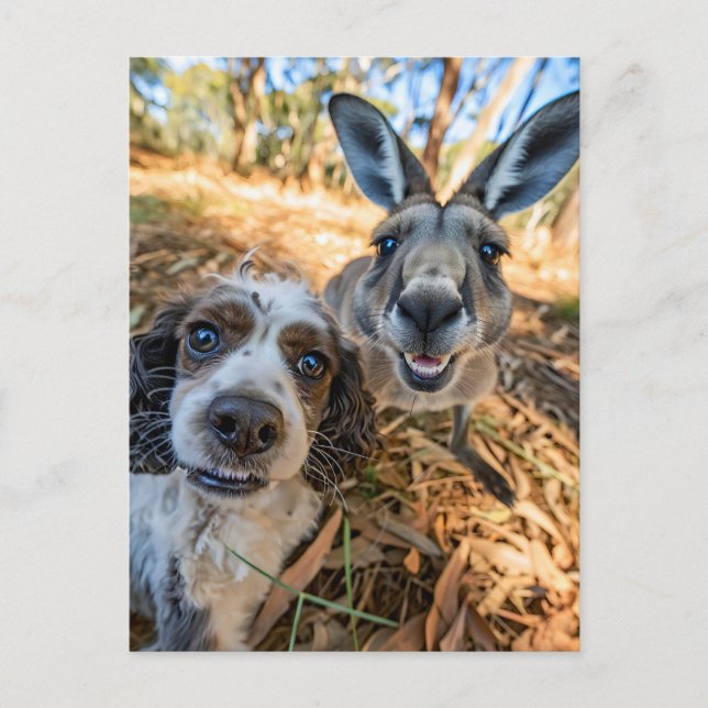 King Charles Cocker Spaniel Takes Selfies Across t Helg Vykort (Framsida)