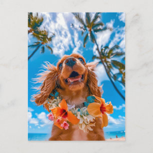 King Charles Cocker Spaniel tar selfier överallt Helg Vykort