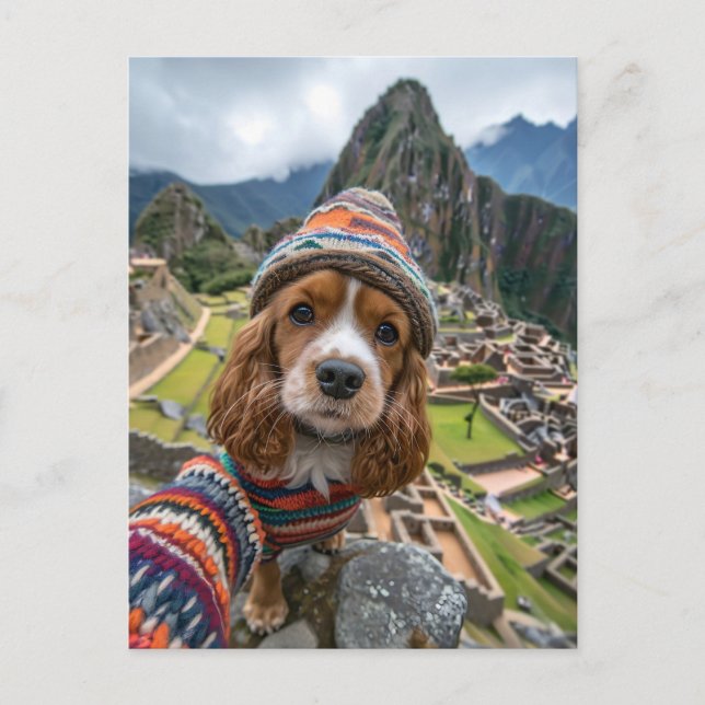 King Charles Cocker Spaniel tar selfier runt Helg Vykort (Framsida)
