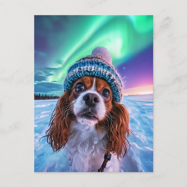King Charles Cocker Spaniel with northern lights Helg Vykort (Framsida)