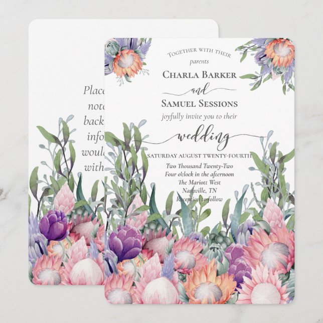 King Protea Bright Colored Exotic Flowers  Program (Fram/baksida)