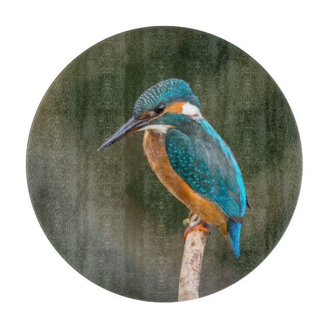 Kingfisher (Framsidan)