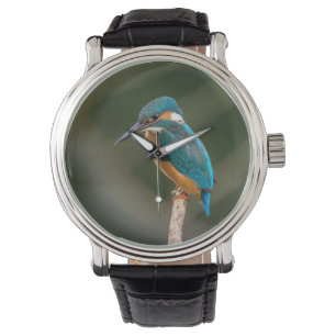 KIngfisher Armbandsur
