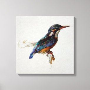 Kingfisher (av John Ruskin) Canvastryck