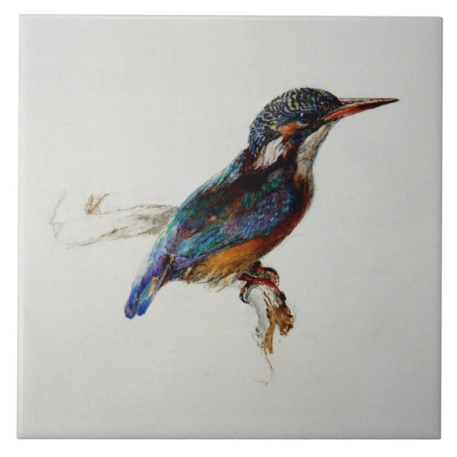 Kingfisher (av John Ruskin) Kakelplatta (Framsidan)