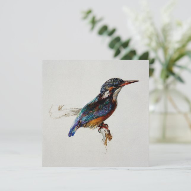 Kingfisher (av John Ruskin) Kort (Stående Fram)
