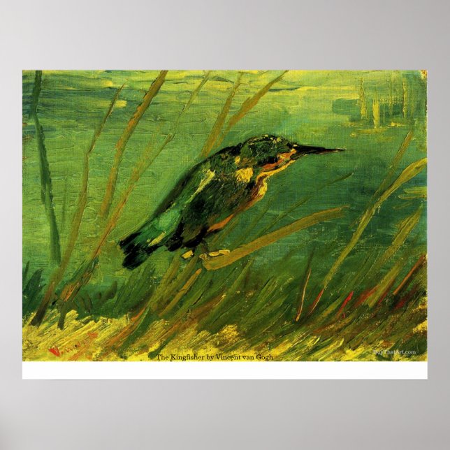 Kingfisher av Vincent van Gogh Poster (Framsidan)