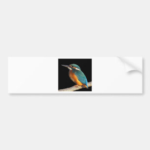 "Kingfisher ", Bildekal