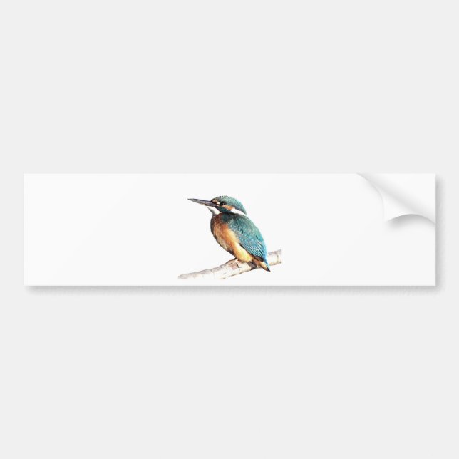 "Kingfisher ", Bildekal (Framsidan)