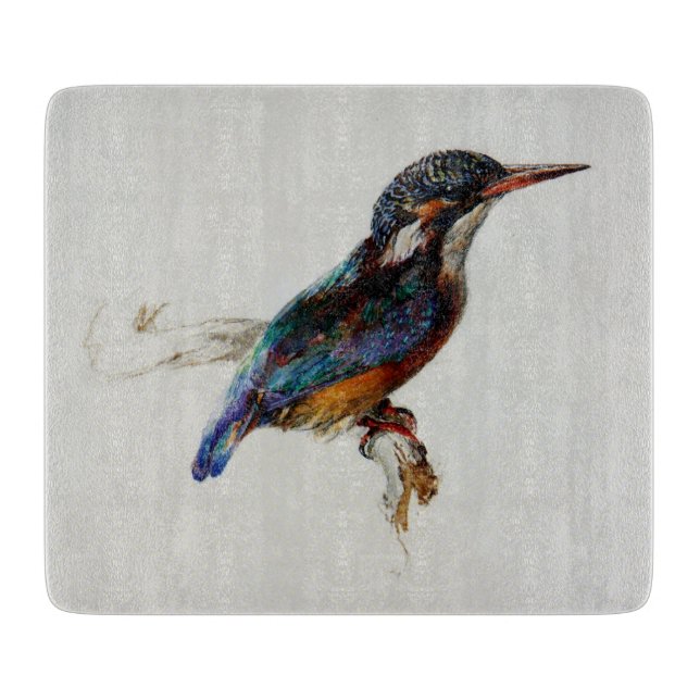 Kingfisher Bird (av John Ruskin) (Framsidan)