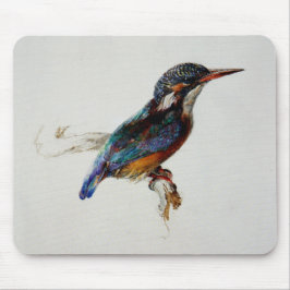 Kingfisher Bird (av John Ruskin) Musmatta