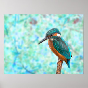Kingfisher Bird Blue Abstrakt Poster