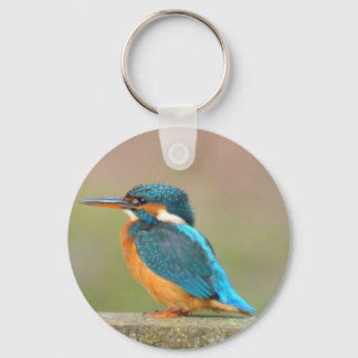 Kingfisher Bird Keychain Nyckelring