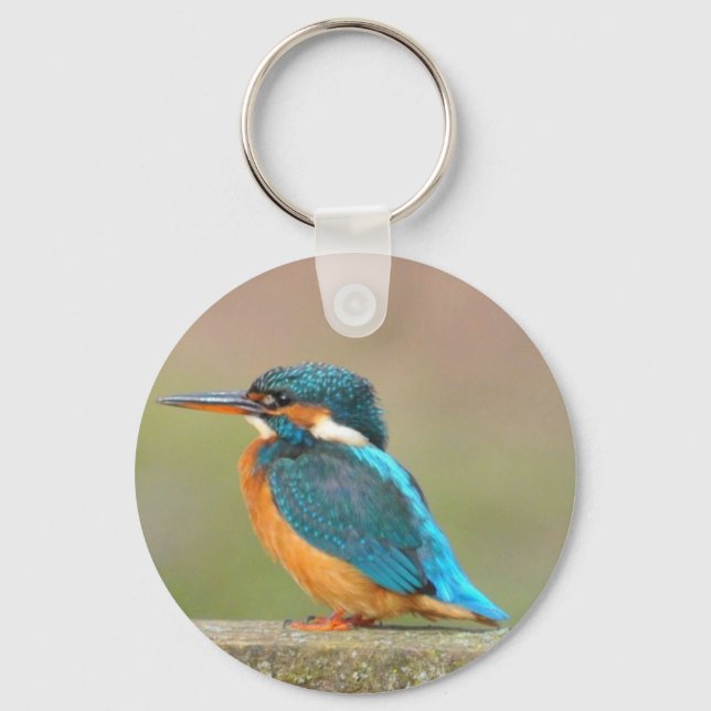 Kingfisher Bird Keychain Nyckelring (Framsida)