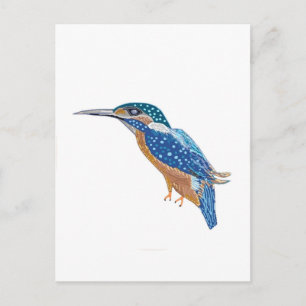KingFisher Bird Vykort
