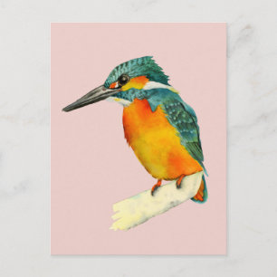 Kingfisher Bird Watercolor Painting Vykort