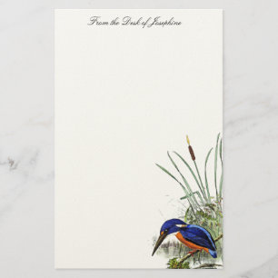 Kingfisher Bird Wildlife Wetlands Pond Stationery Brevpapper