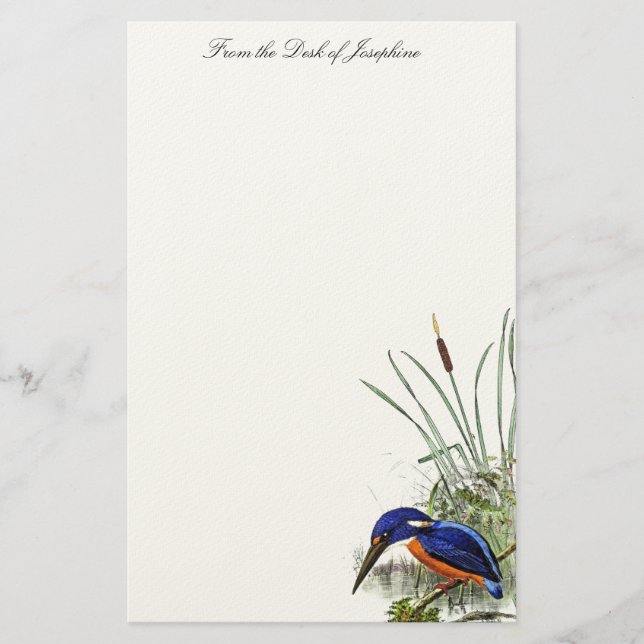 Kingfisher Bird Wildlife Wetlands Pond Stationery Brevpapper (Framsida)