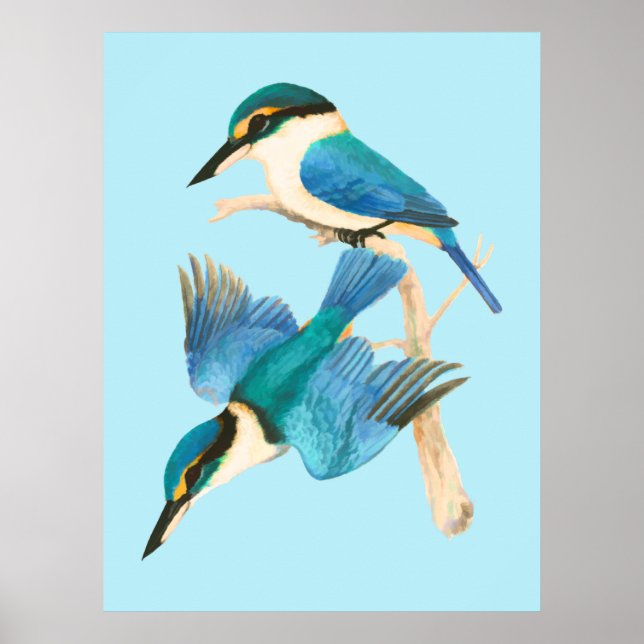 Kingfisher Birds Blue Watercolor Poster (Framsidan)