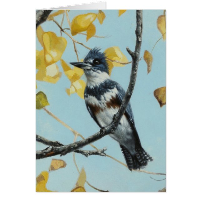Kingfisher Blank Card av Andrew Denman Hälsningskort (Framsidan)