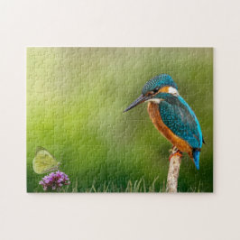 Kingfisher Butterfly Nature Flower Bird Perched Pussel