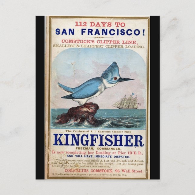Kingfisher Clipper, segling frakt 1855 Vykort (Framsida)