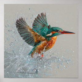 Kingfisher Dive - Vibrant Bird Hunting in Clear Wa Poster