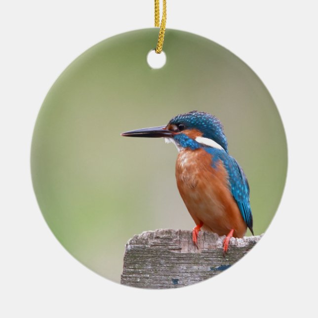 Kingfisher-fågel. Julgransprydnad Keramik (Framsidan)