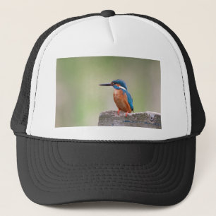 Kingfisher-fågel. Keps